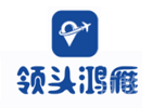 长沙领头鸿雁无人机培训