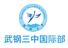 武汉武钢三中国际部