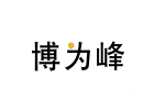 合肥博为峰