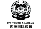 太原A-Level培训机构-太原优藤国际教育