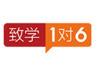 上海中小学培训机构-上海致学教育