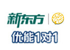 广州新东方优能