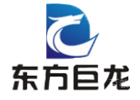 武汉东方巨龙教育