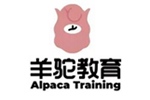 广州成人英语培训机构-广州羊驼教育