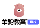 濟南培訓機構-濟南羊駝教育