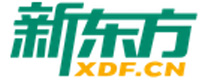 南宁新东方国际英语