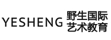 南京野生国际艺术教育