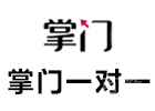 掌门一对一