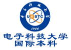 电⼦科技⼤学国际本科