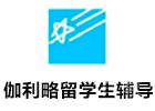 伽利略留学生辅导