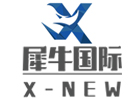 北京犀牛国际DSE课程