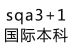 国际本科SQA项目