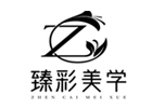 天津臻彩美学职业培训学校