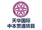 上海天华国际中本贯通项目