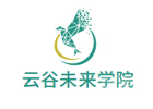 合肥云谷未来学院