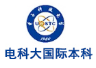 武汉培训机构-电科大国际本科