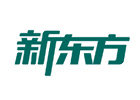 大连新东方保研