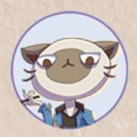 灵猫课堂老师