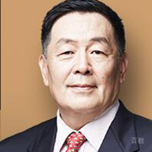 王树京