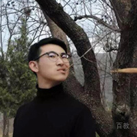 桉树族长
