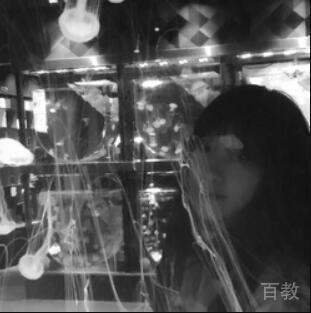 西安艺界艺术留学特约主讲老师WEN