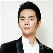 陈丹青