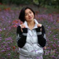 杨新朋教师