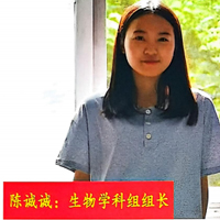 特约主讲老师陈诚诚老师