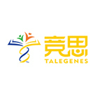 教师团队