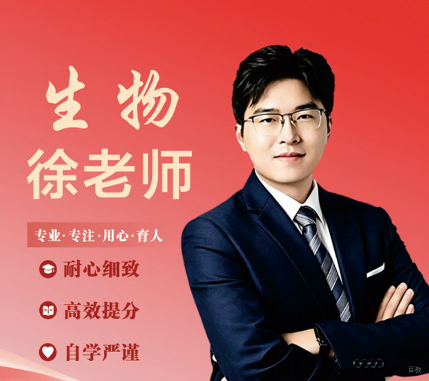 徐老师-宁波长宽高复学校