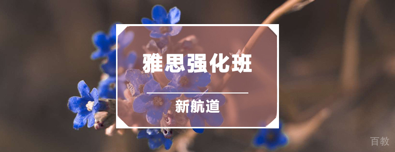 雅思强化班