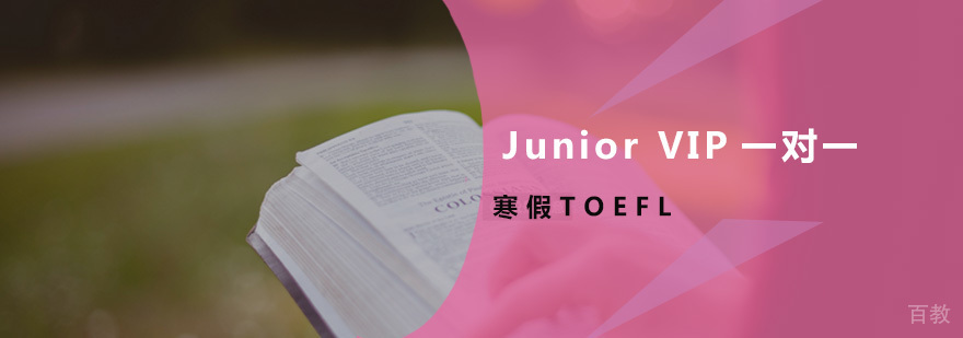 寒假TOEFL-Junior VIP一对一