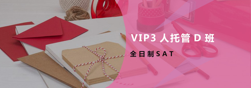 全日制SAT-VIP3人托管D班