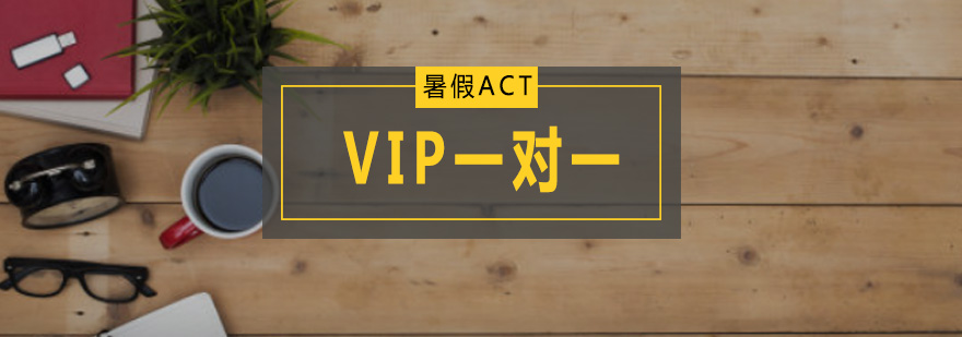 广州暑假ACTVIP一对一
