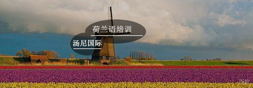 荷兰语培训课程
