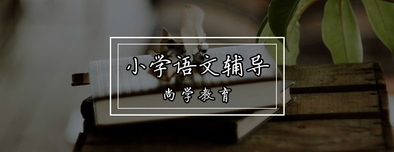 天津小学语文辅导培训班