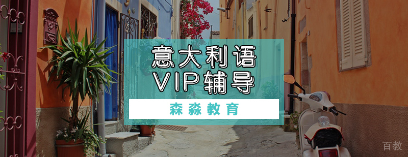 意大利语VIP辅导课程