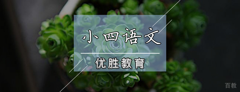 小四语文辅导课程