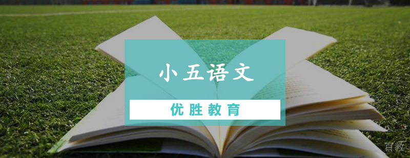 小五语文辅导课程