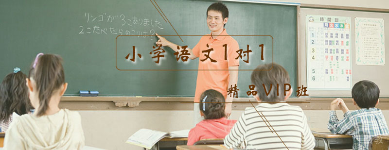 小学语文一对一精品VIP课程