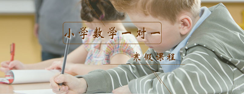 小学数学一对一辅导寒假课程