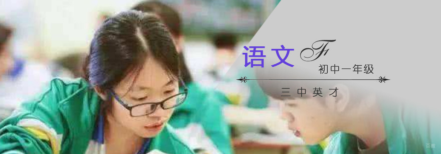 重庆初中语文专项培训