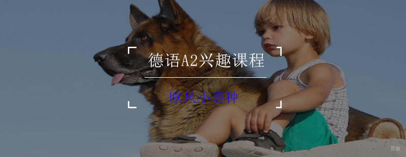 德语A2课程实景教学