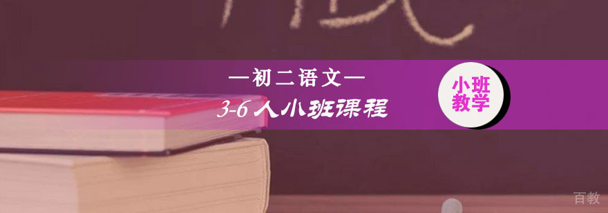 初二语文精品小班课程