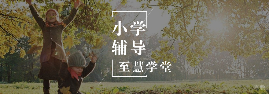 小学辅导课程