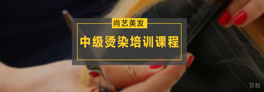 中级烫染技术培训
