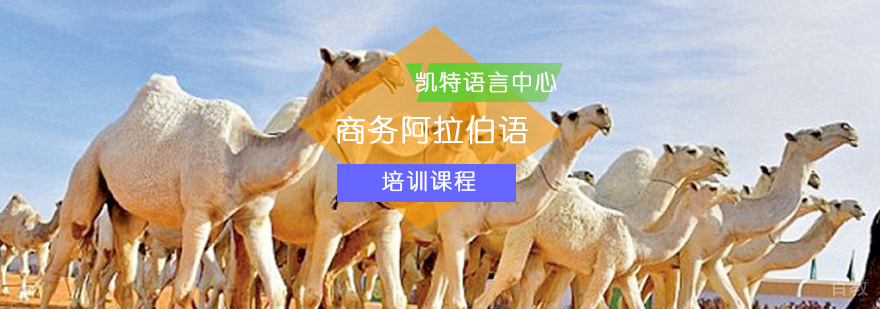 商务阿拉伯语实战培训