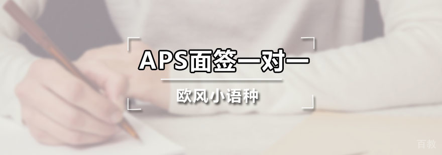 APS面签专业辅导