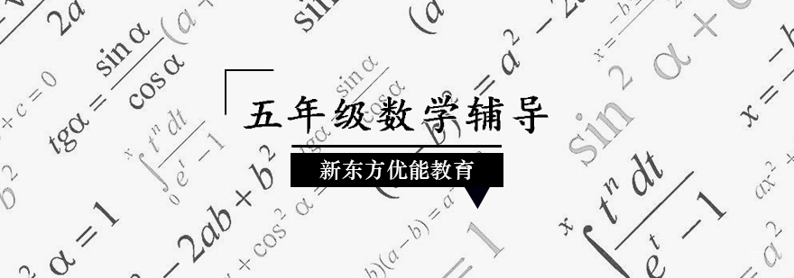 五年级数学辅导