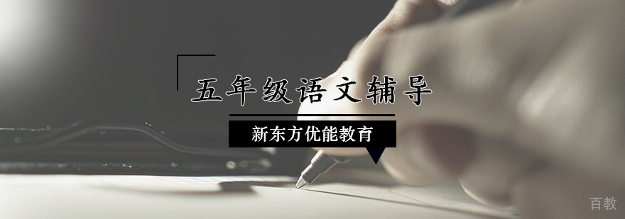五年级语文辅导课程